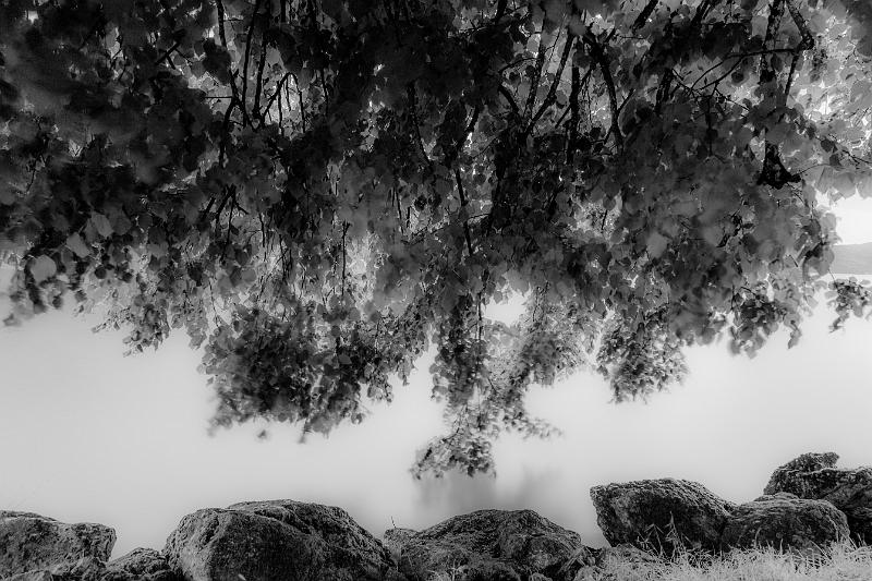 2018_06_07_Haute Savoie  (0057_bnw).jpg - Lac d'Annecy, Juin 2018